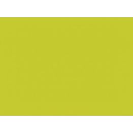 Mehr Produktinformationen Platzdeckchen 35 x 45 cm Papier hellgr�n (250�Stck)