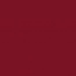 Tissue-GO Servietten � vielseitig einsetzbar und praktisch, in einer breiten Farbpalette und verschiedenen Qualit�ten erh�ltlich.