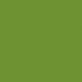 Mehr Produktinformationen Serviette 40 x 40 cm BioDunisoft blattgrün (60 Stck) Mehr Produktinformationen Serviette 40 x 40 cm BioDunisoft blattgrün (60 Stck)