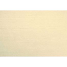 Mehr Produktinformationen Platzset 30x40cm VELVIQ CREAM 75St.